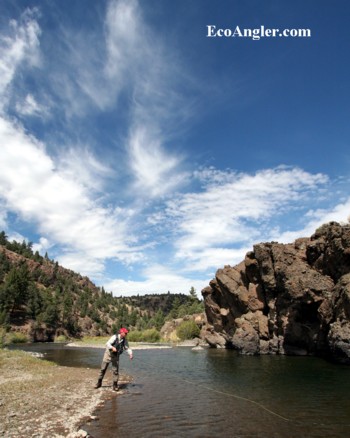 Wild and Scenic section on the East Fork of the Carson River