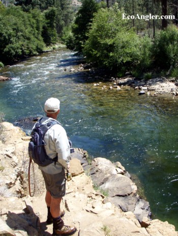 Fishing upstream of the confluence of the Little Kern River on the North Fork of the Kern River