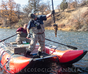 Salmon survey crew on the Klamath River in California.