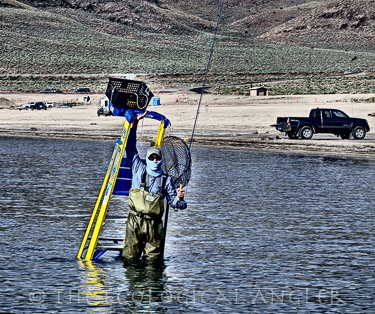 A flyfisherman carries a ladder along shore of Pyramid Lake Nevada