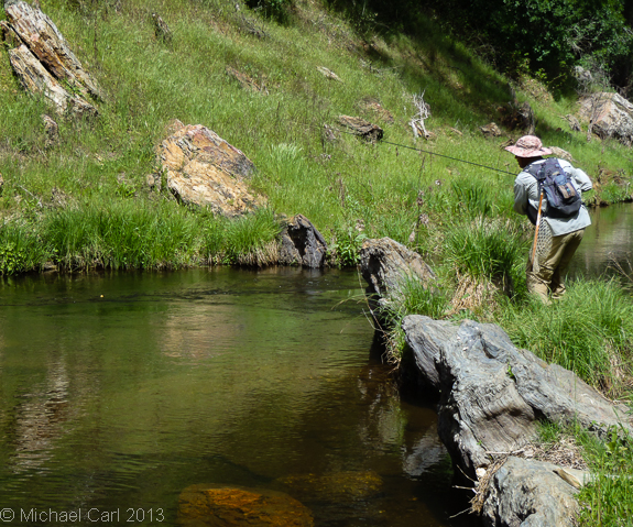 The Mother Lode or Gold Country of California offers small streams to fly fish.