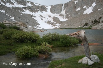 Cottonwood Lake 4