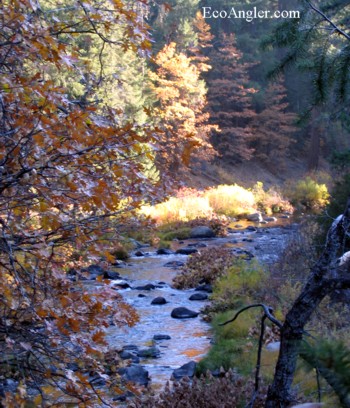 McCloud River in Fall Color
