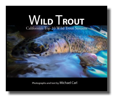 Wild Trout California's Top 10 Streams