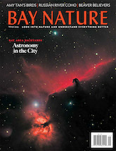 Bay Nature Winter 2023 Magazine