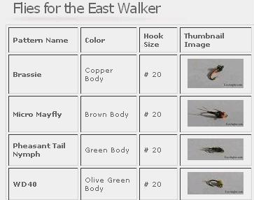 Suggested Fly Patterns for the East Walker River