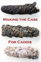 caddis case makers