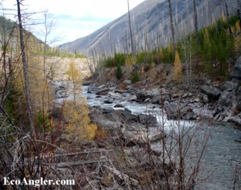 Reaching this stretch of the North Fork of the Blackfoot requires some hiking