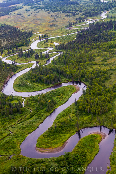A meandering creek to fly fish for dolly varden rainbow trout and salmon in Alaska's Bristol Bay region