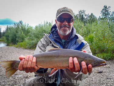 Michael Carl holds a Dolly Varden caught on fly in a stream near Bristol Bay Alaska