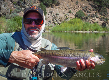 Fly fishing the East Fork of the Carson River for wild trout Michael Carl catches a trophy rainbow.