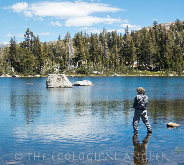 Fishing from the shore of Dorothy Lake in Yosemite National Park