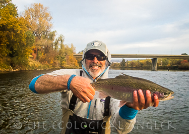 Michael Carl holds a wild steelhead caught and released just below Highway 70 bridge on the Feather River.