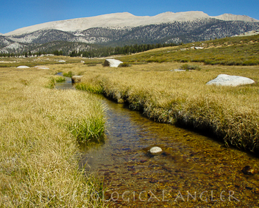 Golden Trout Creek as it meanders through Big Whitney Meadow