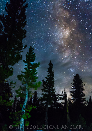Camping under the night sky in the John Muir Wilderness with the Milky Way in full display