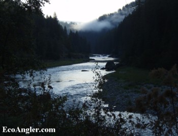 The road along the North Fork of the Clearwater River leads upstream to Kelly Creek.