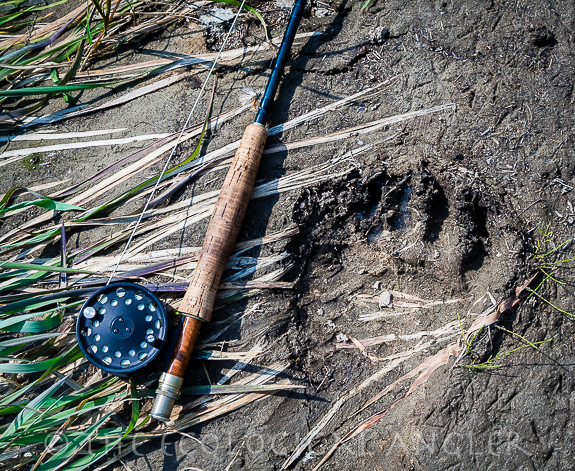 Fly fishing reel against bear trap in the Golden Trout Wilderness.