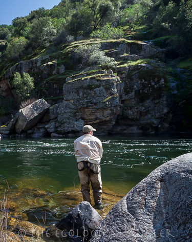 Michael Carl fly fishes Upper Kings River upstream of Pine Flat Reservoir