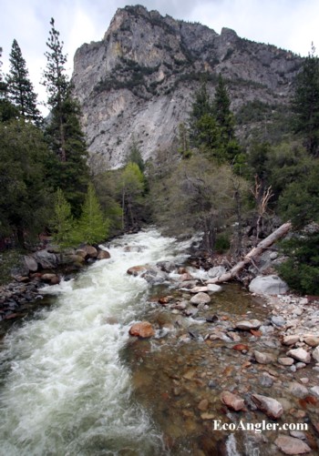 The Roaring Fork feeds the South Fork Kings River