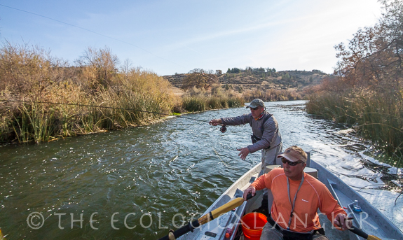 Fly Fishing upstream to a slot along the bank of the Klamath River in California.