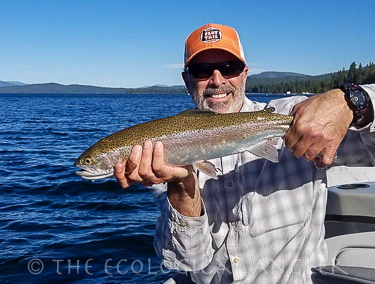 Michael Carl releases healthy rainbow trout caught in  Lake Almanor.