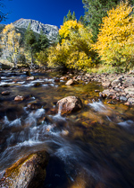 Fall in Eastern Sierra Nevada Creek