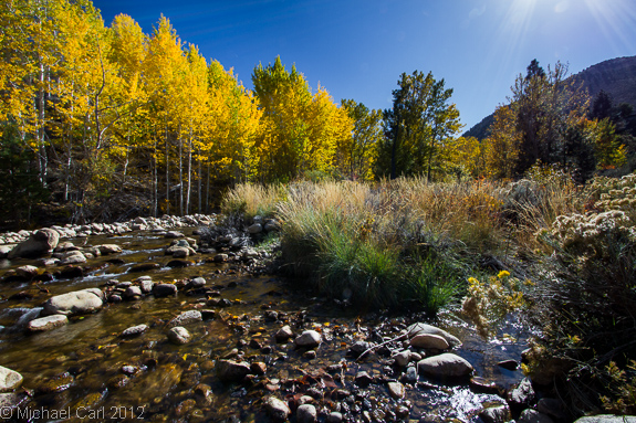 Creeks draining the East side of the Sierras create an oasis for aspen trees and even sage brush to grow.