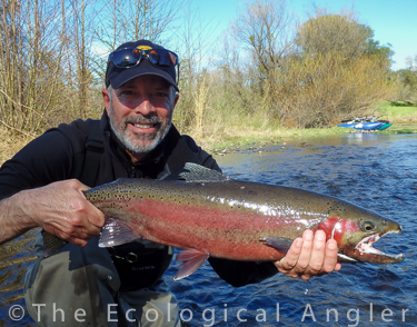 Michael Carl holds Central Valley steelhead caught on the fly from Mokelumne River.