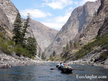 Our drift boats enter the lower canyon of the Middle Fork Salmon River