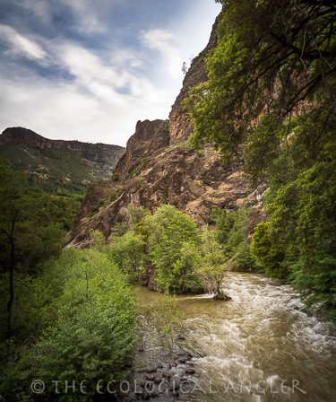 Mill Creek runs through a remote canyon within the Ishi Wilderness