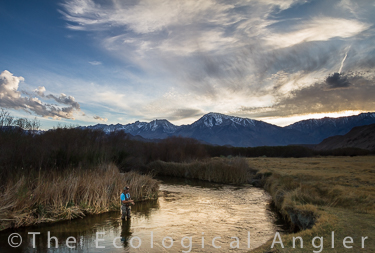 Lower Owens River in California for fly fishing