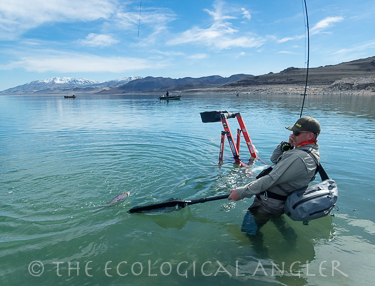 A flyfisherman fights a Lahontan cutthroat trout on Pyramid Lake in Nevada