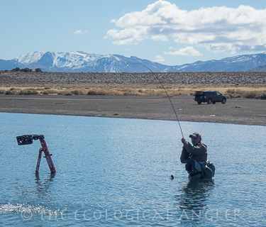 Fly fishing from the shore of Pyramid Lake in winter and early spring is highly effective.