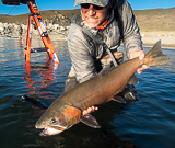 Fly Fisherman catches Pilot Peak Lahontan out of  Pyramid Lake Nevada.