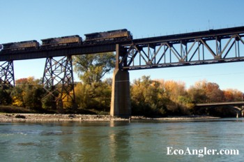 Freight train moves across the Sacramento River just above Caldwell Park