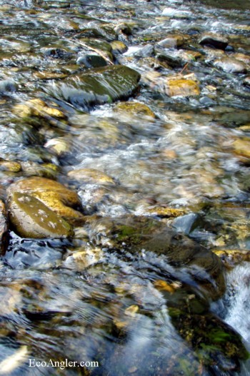 Water runs clear over rocks on the St Joe River Idaho