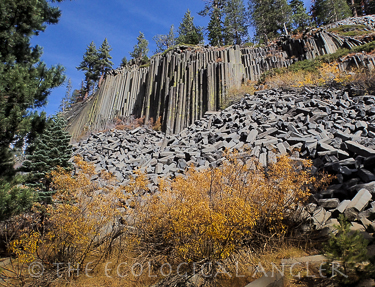 Devil's Postpile National Momument is just a short walk from the Middle Fork of the San Joaquin River