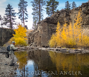 Fly fishing the Middle Fork of the San Joaquin River in Devil's Postpile National Momument