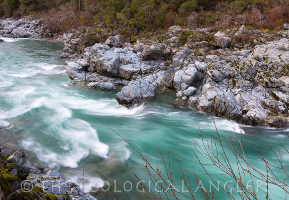The Smith River runs completely wild to the ocean from the California Oregon border.