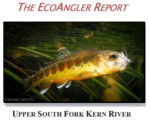 The EcoAngler Report - South Fork Kern River