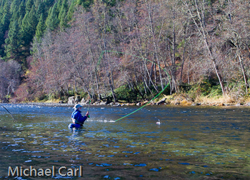 Angler forms D loop casting to steelhead in the Trinity River