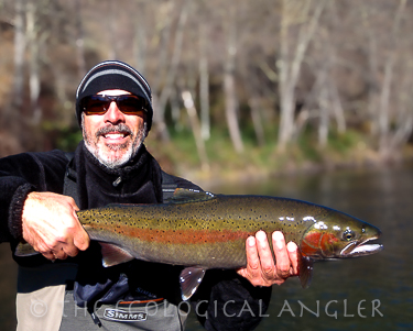 Trinity River Winter run steelhead caught by Michael Carl.