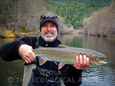 Trinity River Steelhead