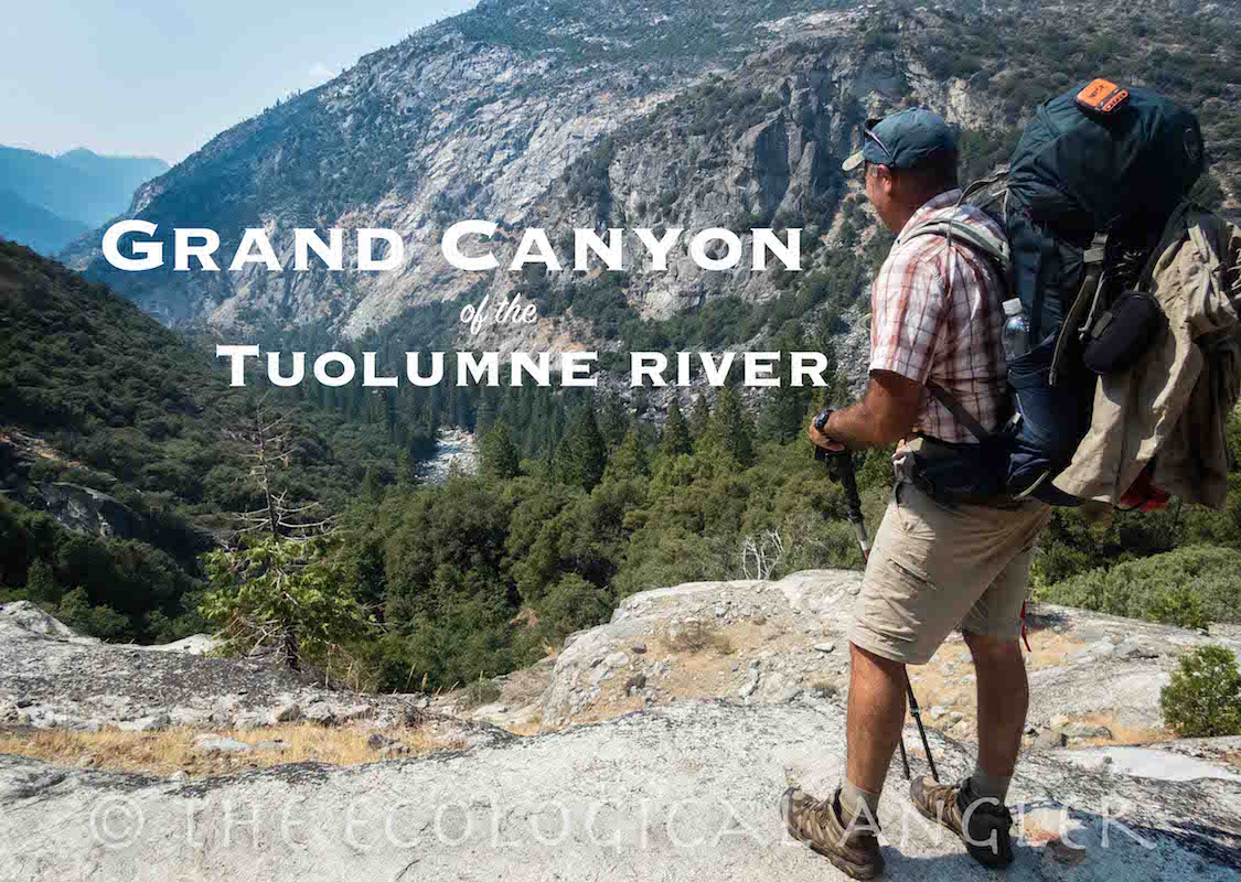 Fly Fishing the Grand Canyon of the Tuolumne River in Yosemite National Park California