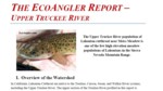 The EcoAngler Report - Upper Truckee River
