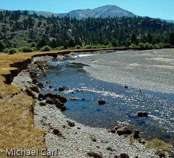 West Walker River erodes a section of the bank along the soft meadow