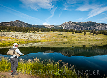 Fly Fishing Trout Lake for Yellowstone Cutthroat inside the National Park