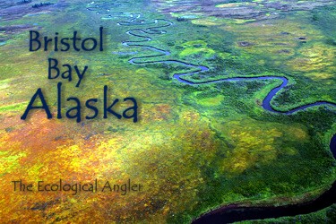Bristol Bay Alaska Pacific Salmon Runs