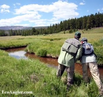 Fly anglers look for a rise in a creek in the High Uintas