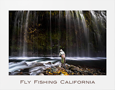 Fly Fishing California Poster Print by Michael Carl.